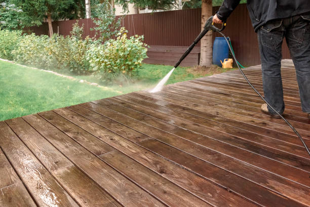 Best Boat and Dock Cleaning  in Lonville, GA